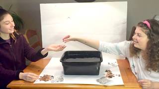 STEM Aluminum boat buoyancy challenge experiment STEM ACTIVITY [upl. by Togram567]