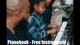 Wilh Steinmann Piano  PianoBook Free Kontakt Instrument Library [upl. by Ella632]