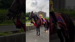 Dhruhi Horse 🐎 Riding  horse horses ghoda horseriding horselover ytvideo shortsfeed dhruhi [upl. by Florance]