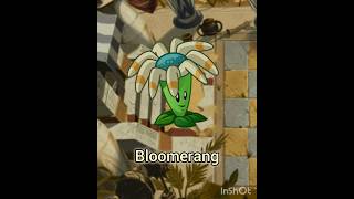 Bloomerang en 25 segundos pvz [upl. by Ricker]