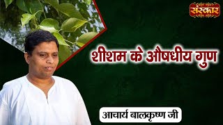 शीशम के औषधीय गुण  Benefits of Rosewood  Acharya Balkrishna Ji Ke Nuskhe  Sanskar TV [upl. by Nirahs551]