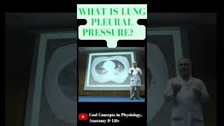 What is Pleural Pressure in lungs 1styearmbbslectures shorts youtubeshorts youtube ytshorts [upl. by Reerg]