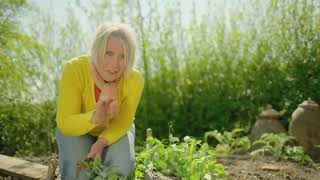 🔴 GardenersWorld  Gardening with Carol Klein How to Take BASAL CUTTINGS 2022 [upl. by Eustache]