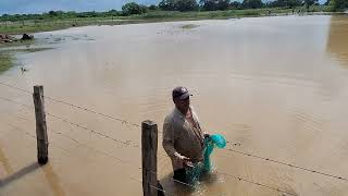 Inundaciones Octubre 2024 [upl. by Aisilef]