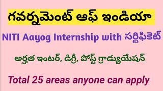 NITI Aayog Internship with certificate [upl. by Trow338]