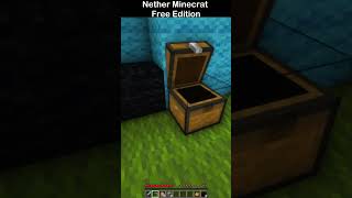 Bro Go to Nether at Minecraft Free Edition minecraft shorts minecraftshorts [upl. by Rooker267]