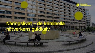 Näringslivet – de kriminella nätverkens guldkalv [upl. by Raynell]