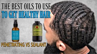 How To Get Waves Truth About Penetrating vs Sealant Oils for Moisture [upl. by Erodeht2]