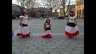 Baile Celebrando La Independencia Dominicana [upl. by Amlez127]