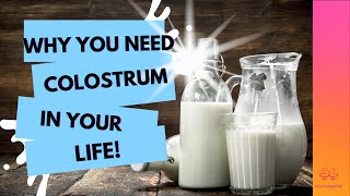 🔥Why You Need Colostrum in Your Life [upl. by Navets]