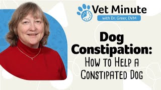 Vet Minute How to Help a Constipated Dog [upl. by Held]