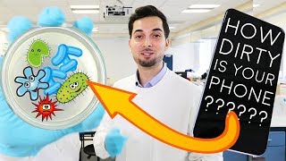 How Much Bacteria Is On Your Phone  LAB EXPERIMENT REVEALED  How To Disinfect Phone  2018 [upl. by Ajoop232]