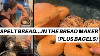 100 white spelt bread  One pound loaf recipe for the bread maker  Spelt sourdough bagels [upl. by Reinnej498]