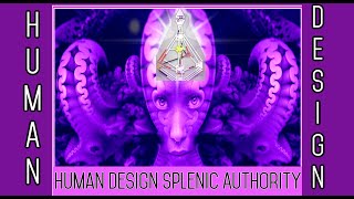 Splenic Manifestor Splenic Projector Human Design [upl. by Odette17]