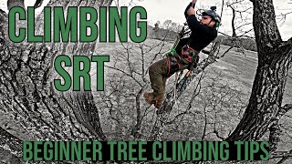 Tree Climbing Beginners Guide To Climbing SRTSRS [upl. by Alain]