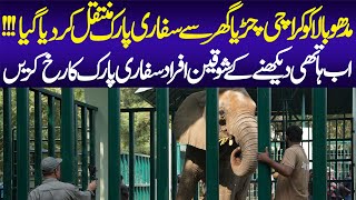 Karachi Zoos Elephant Finds New Home  Madhubala Shifted to Safari Park  Animal Lover [upl. by Erline217]