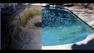 CDC Pools Remodel in Chandler Arizona 2019 4K [upl. by Benji]