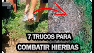 👉7 Formas RAPIDAS y EFICACES De Acabar Con MALAS HIERBAS En El Huerto O Jardín [upl. by Hurty]