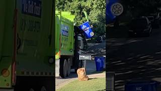 Side Loader Garbage Truck garbagetrucks trashtruck short shorts shortsfeed shortvideo [upl. by Lupee]