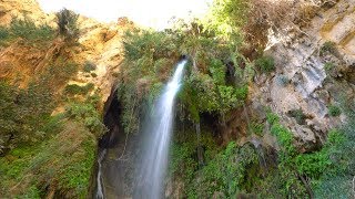 Ein Gedi and the Waterfall Of David [upl. by Cyma325]