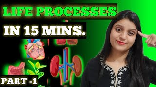 Life processes class 10  SCIENCE  Target 100 [upl. by Hsac120]