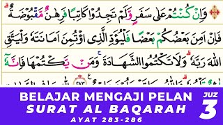 ▶️ MUROTTAL AL QURAN MERDU  SURAH AL BAQARAH AYAT 283286 METODE UMMI JUZ 3 [upl. by Ultann879]