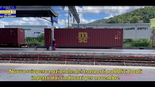 RTA Parmense News 311024 [upl. by Michelina607]