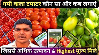 गर्मी वाला टमाटर कौन सा और कब लगाएं  Top 3 Tomato Best Veraity For Summer Season  Tomato Farming [upl. by Nolly]