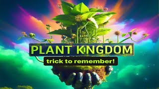 Trick to remember Plant Kingdom  Classification of Kingdom Plantae  Classification of Plants [upl. by Anzovin]