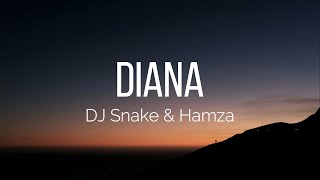 DJ Snake amp Hamza  Diana Lyrics [upl. by Auqenwahs]