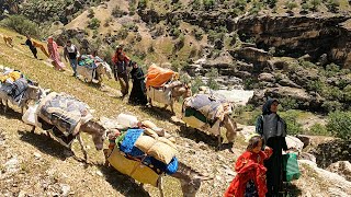 Migration of the Nomadic family to the Mountains Iran 2023 [upl. by Anivel161]