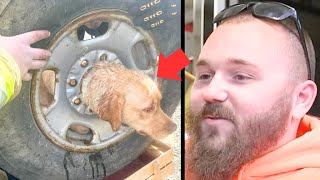 This Dog Was Trapped in a Tire Rim—Wait Until You See How Firefighters Step In [upl. by Ariat600]