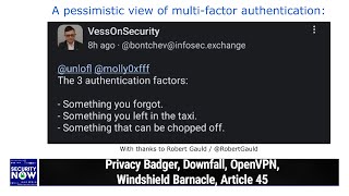 What if a Bit Flipped  Privacy Badger Downfall OpenVPN Windshield Barnacle Article 45 [upl. by Scevor]