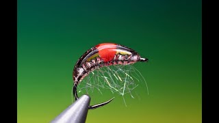 Tying a Hot spot Gammarus with Barry Ord Clarke [upl. by Llewsor]