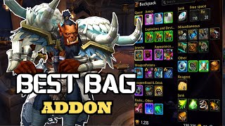 Best Bag Addon For World of Warcraft [upl. by Teyugn881]