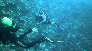 Escuela de Buceo Oceanica Playa Giron Cueva de Peces Bahía de Cochinos cuba nov 14 12 by pela [upl. by Inalel855]