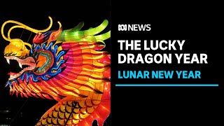 Lunar New Year 2024 What does the year of the dragon mean  ABC News [upl. by Aicirpac]