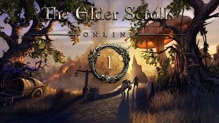 The Elder Scrolls Online Tamriel Unlimited  Beginners Guide [upl. by Anoy]