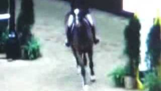 Maclay National Finals 2008 [upl. by Ahseuqal]