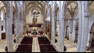 Credo de Machaut  Timpanum Ensemble  Catedral de Alcalá [upl. by Mines648]