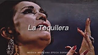 Lola Beltran La Tequilera Letra [upl. by Leesen]