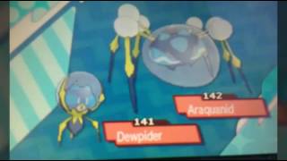 How to evolve Dewpider into Araquanid Pokemon sun and moon [upl. by Lacey492]