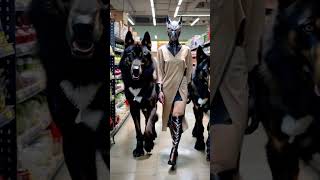 My Direwolves are getting hungry 🐺😁🐺direwolves wolf wolves pets pet dogs dog fyp foryou [upl. by Jeannette]