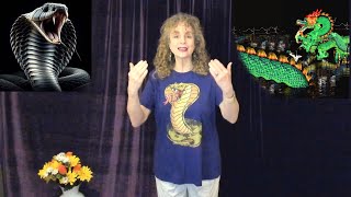 May 2024 Astrology SNAKE Month in DRAGON Year Chinese Horoscope [upl. by Assenar]