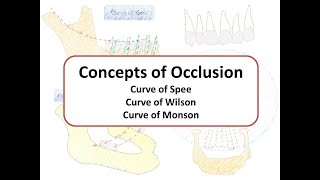 Concepts of Occlusion Curve of Spee Wilson amp Monson [upl. by Enneirda74]