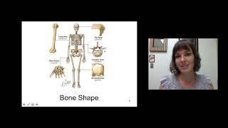 Introduction to Osteology and Arthrology [upl. by Dilly]