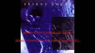 Skinny Puppy Vs Psyche  Assimilate with Eraserhead [upl. by Blancha]