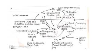 Biogeochemical Cycle Lecture 3 [upl. by Reis]