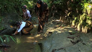 পাহাড়ি ছড়ায় কাঁকড়া ধরা ও রান্না  Panorama Documentary [upl. by Kahaleel530]