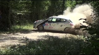 Rallye Terre de Langres 2019 crash and show quotRCSVIDEOquot HD [upl. by Annij]